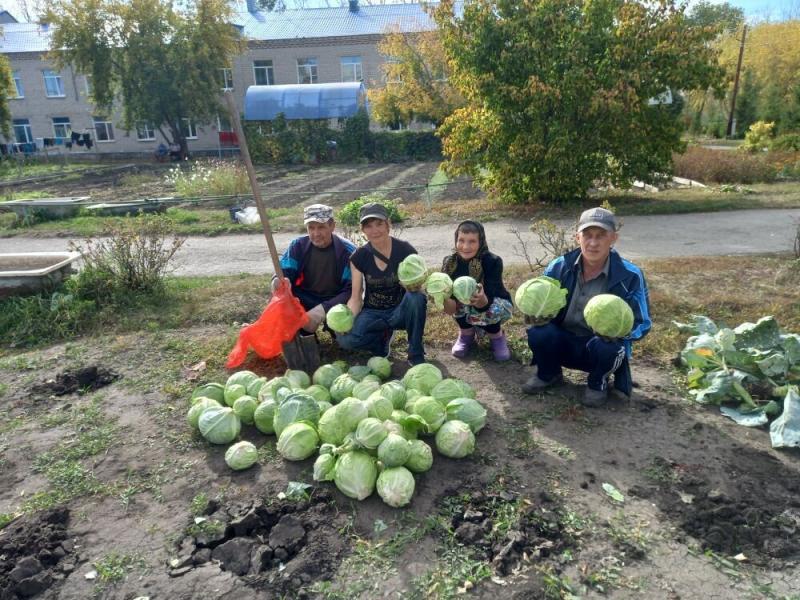 Осень - пора уборки урожая