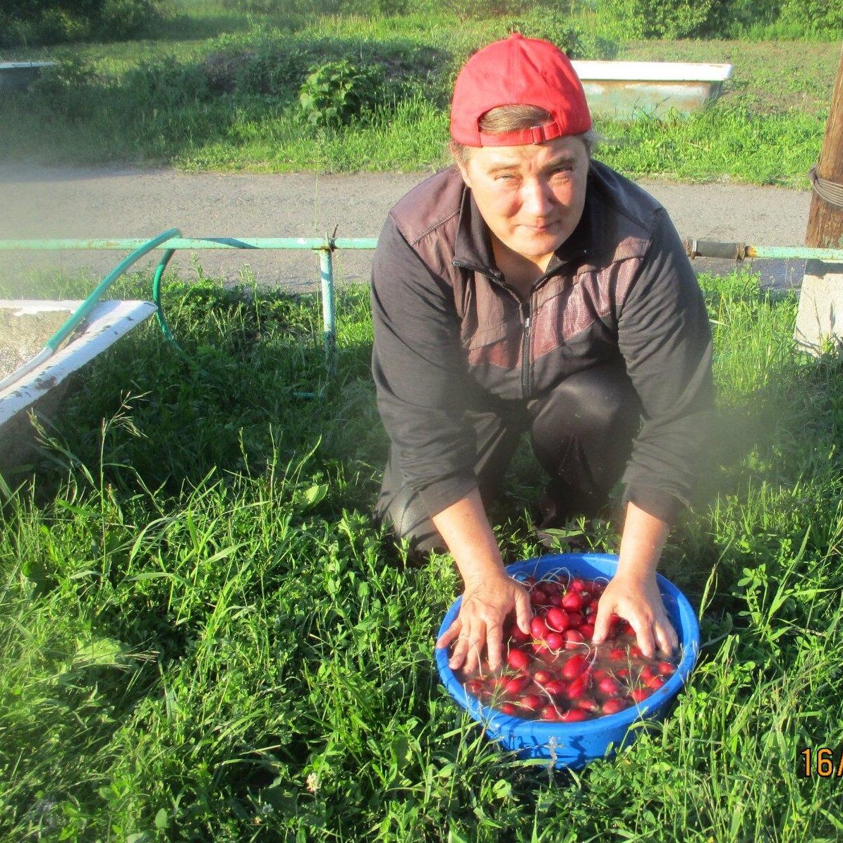 Работа на огороде