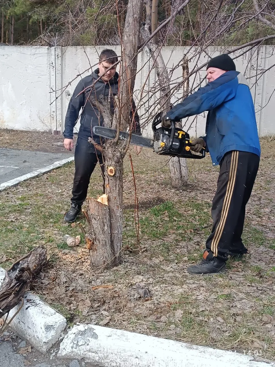 "Дни чистоты"