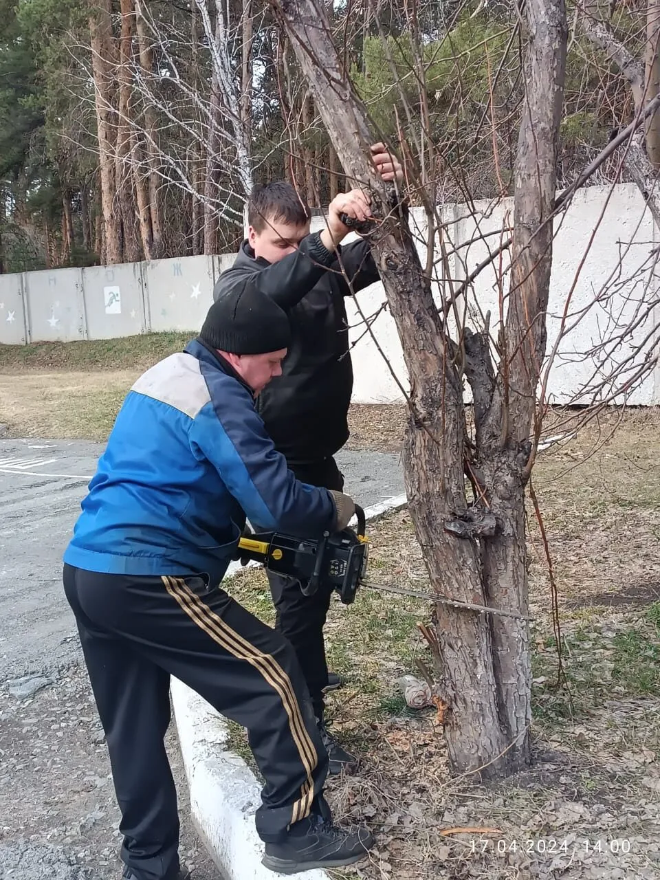 "Дни чистоты"