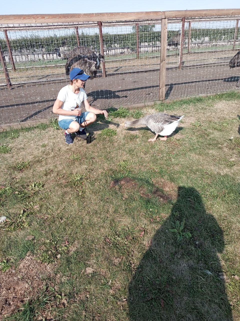 Поездка в Ай-Да Парк