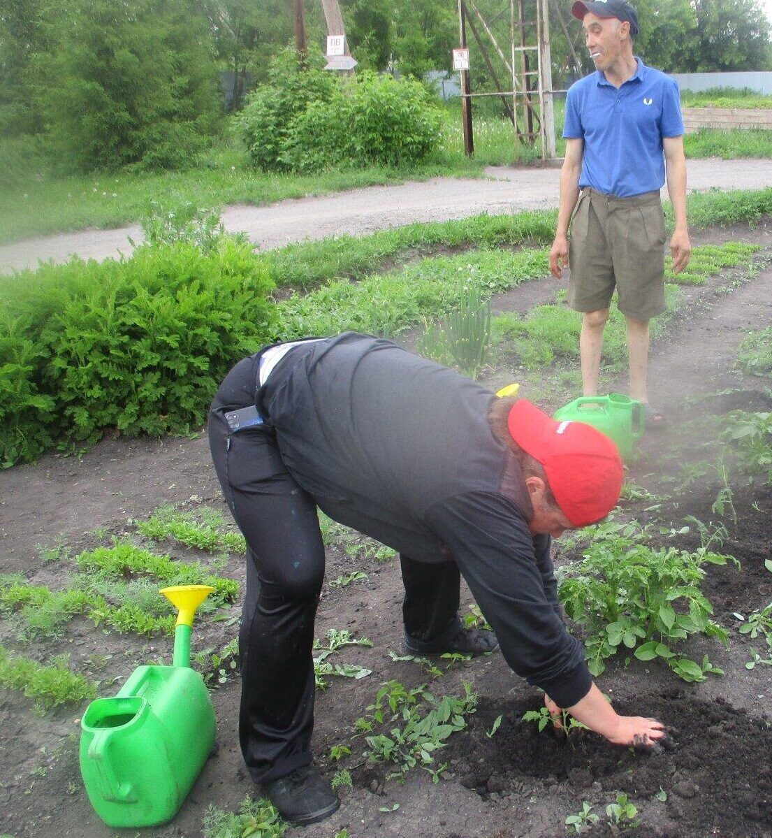 Работа на огороде