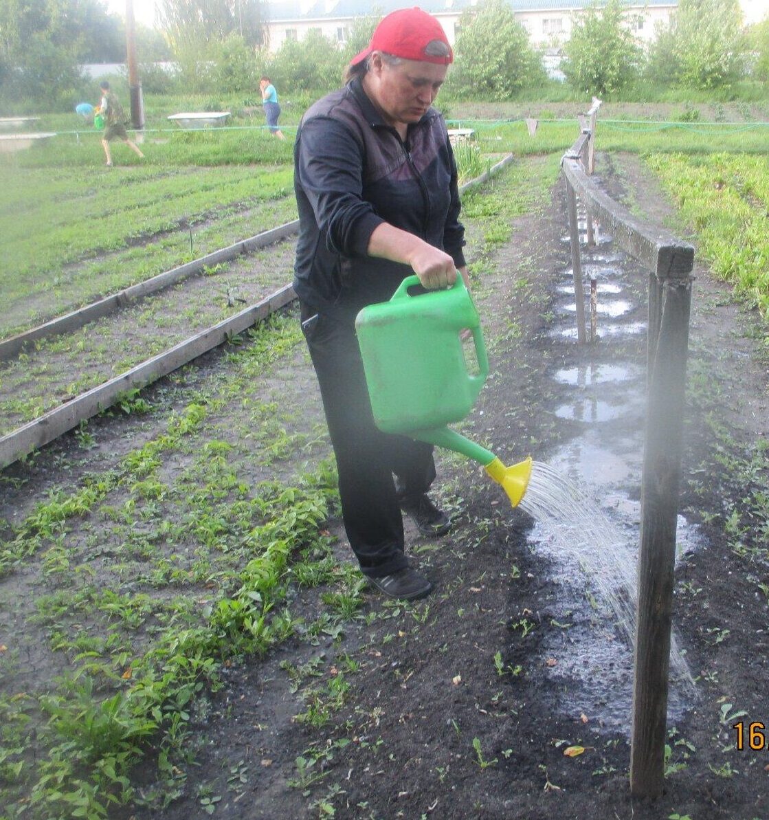 Работа на огороде