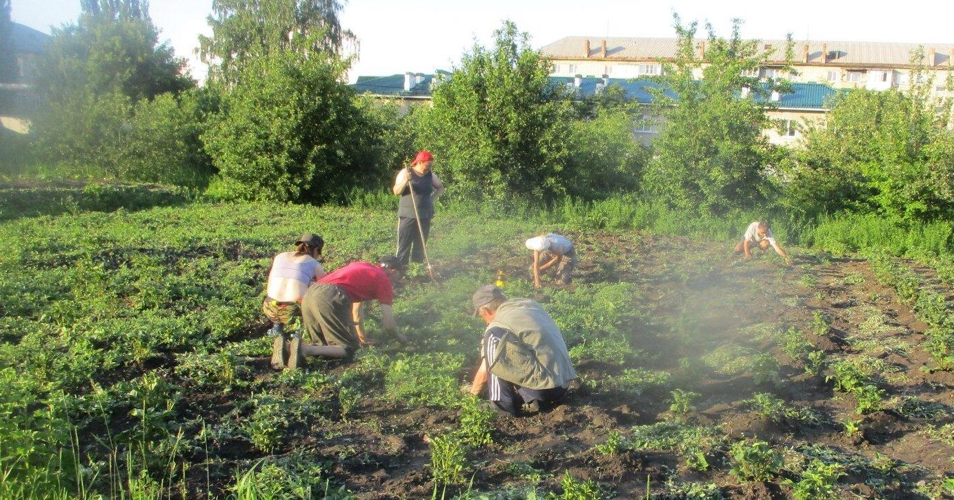 Работа на огороде