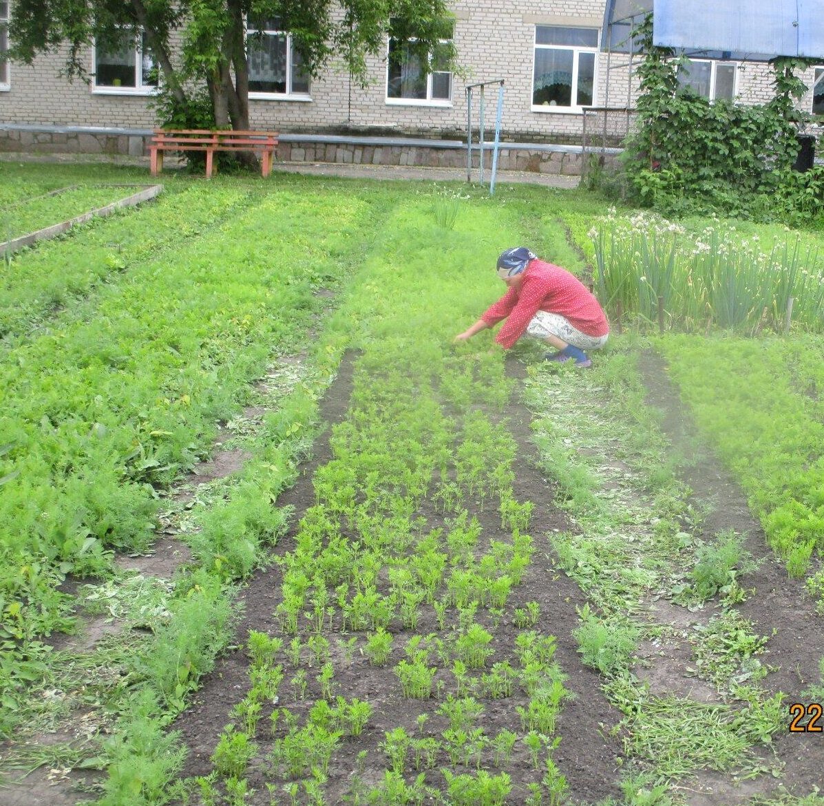 Работа на огороде