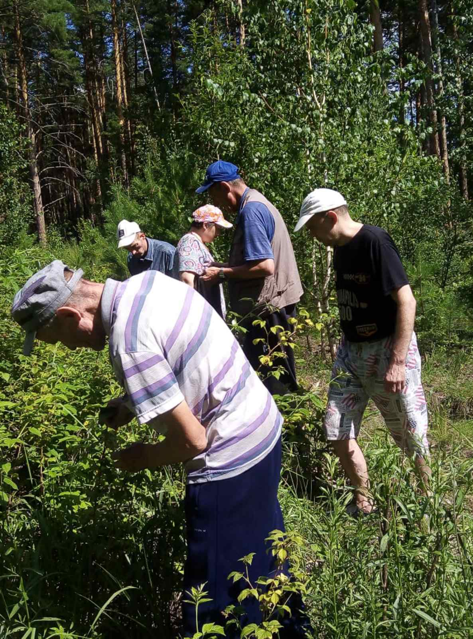 «ЛЕСНОЕ ПУТЕШЕСТВИЕ»