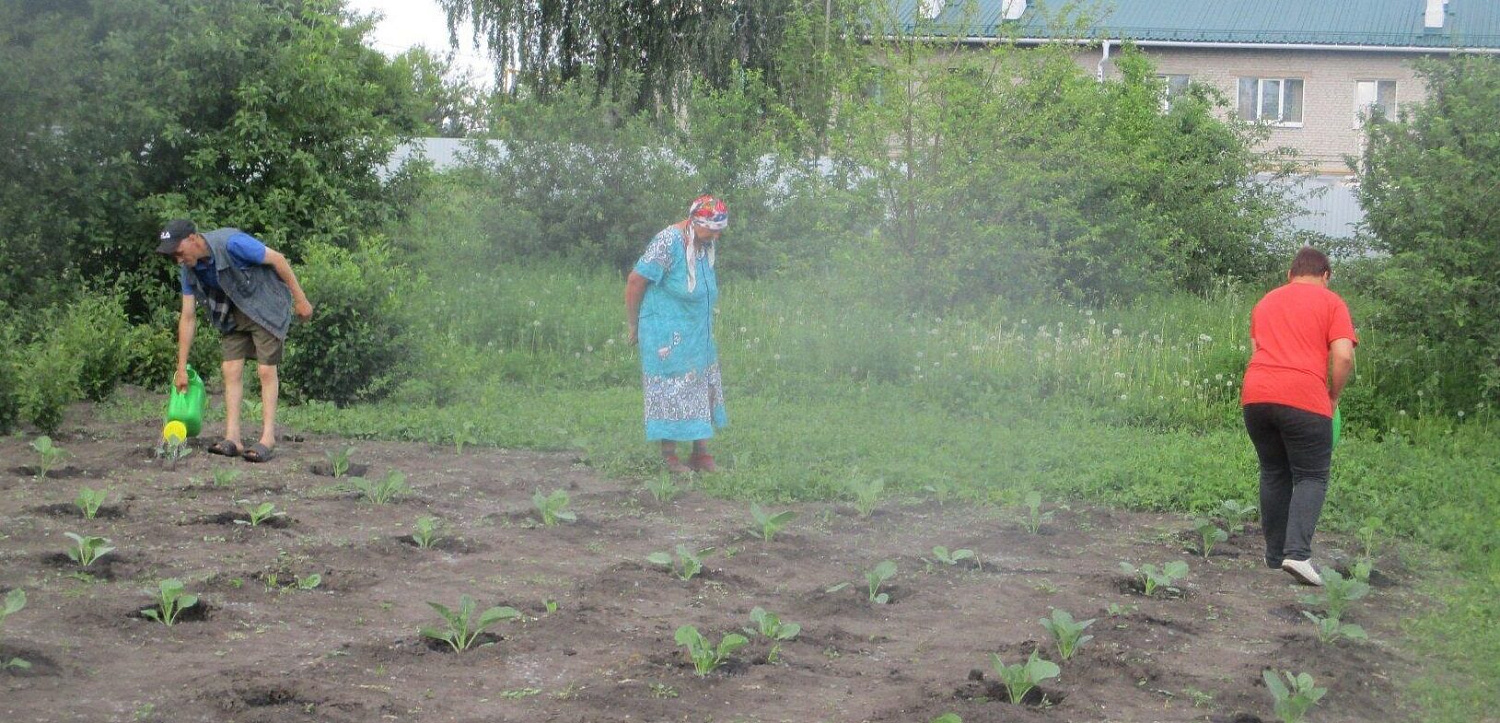 Работа на огороде