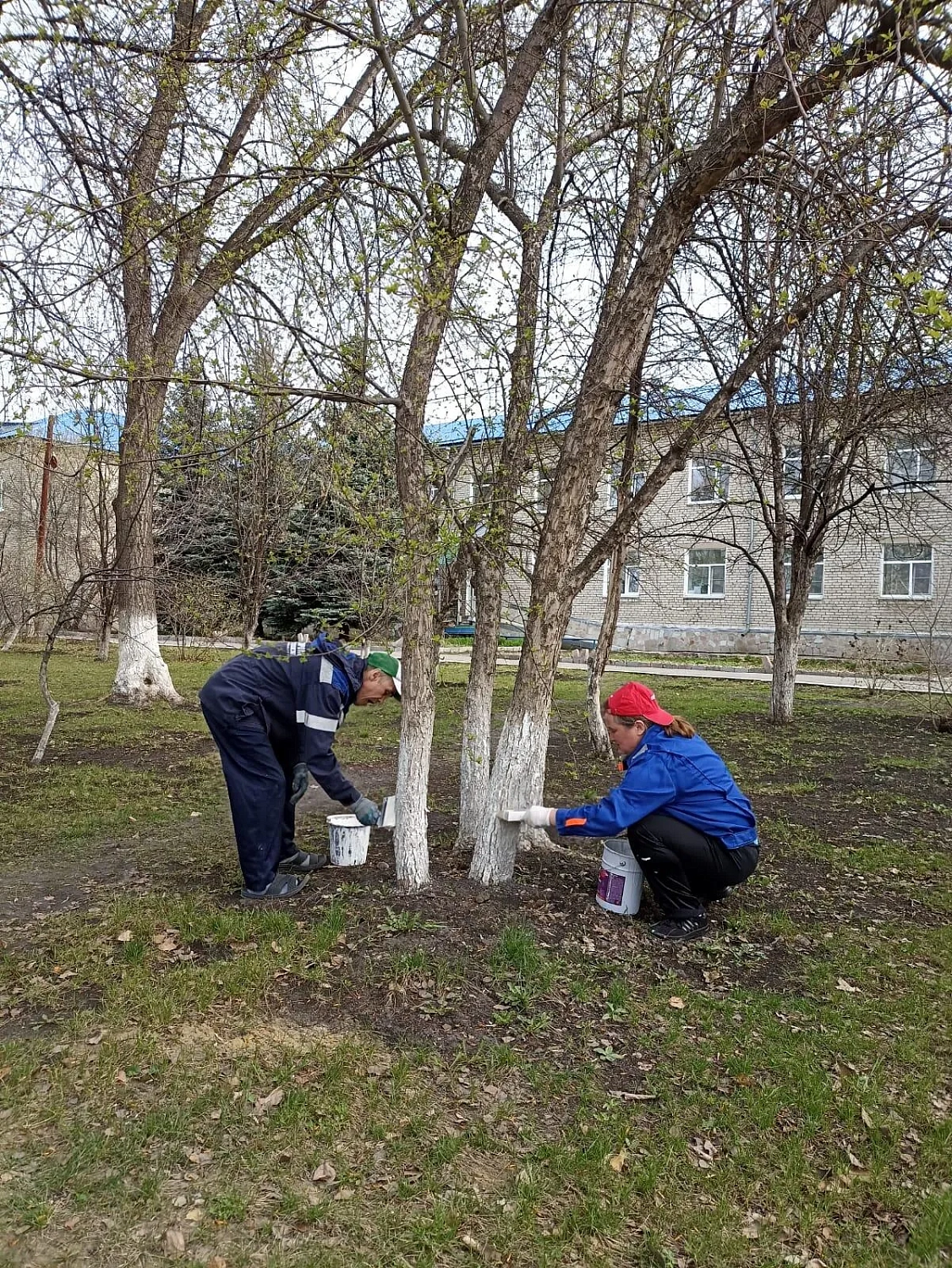 Всероссийский субботник