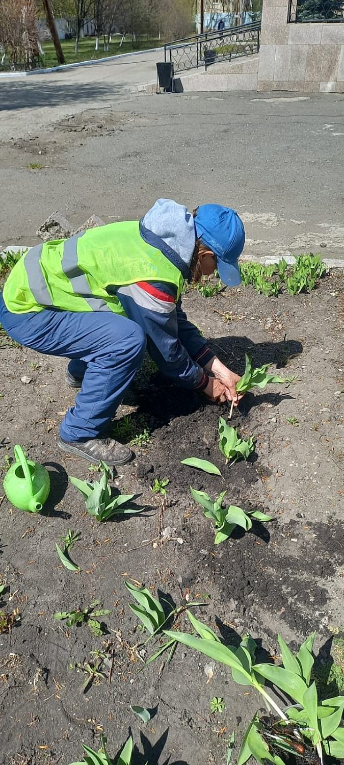 Украсим Победу Цветами