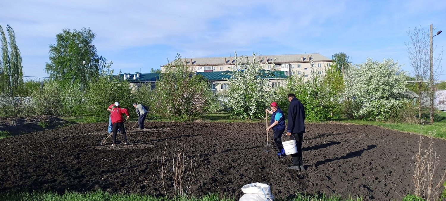 В интернате продолжаются посево-посадочные работы.