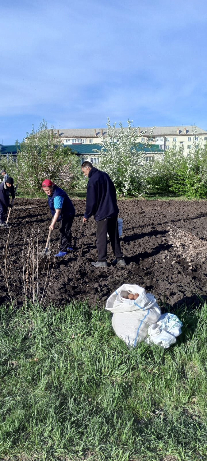 В интернате продолжаются посево-посадочные работы.