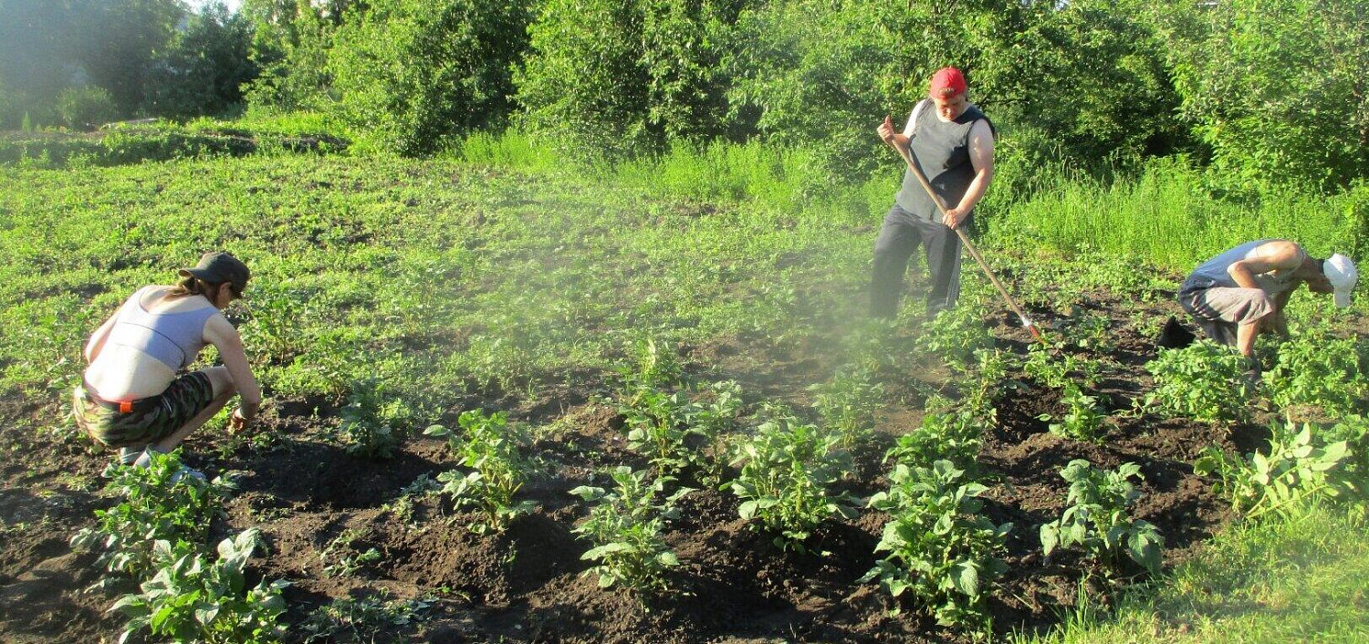 Работа на огороде
