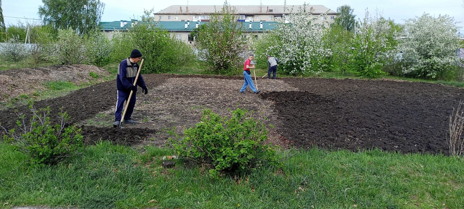 В интернате продолжаются посево-посадочные работы.