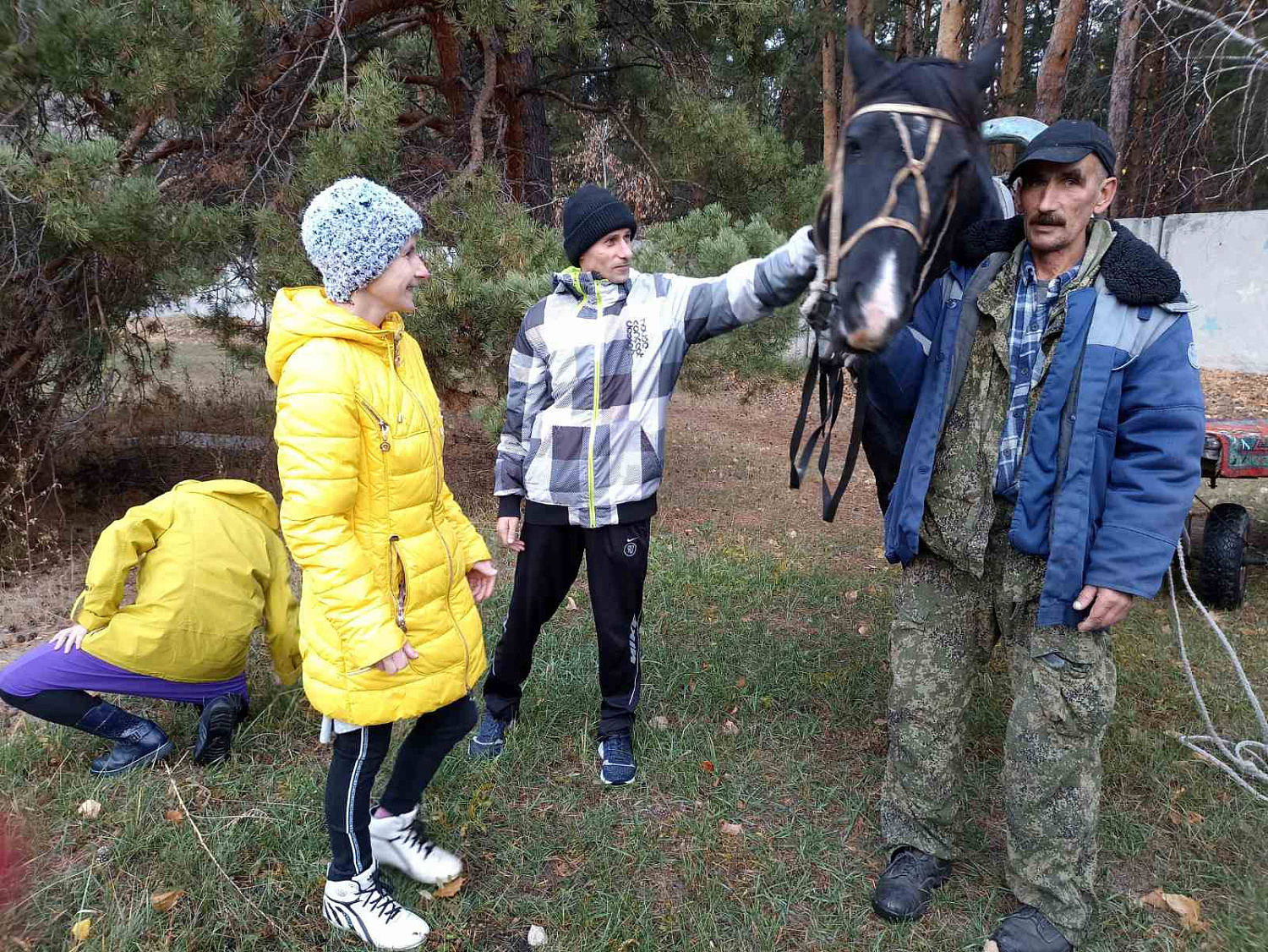 Очередное занятие по иппотерапии