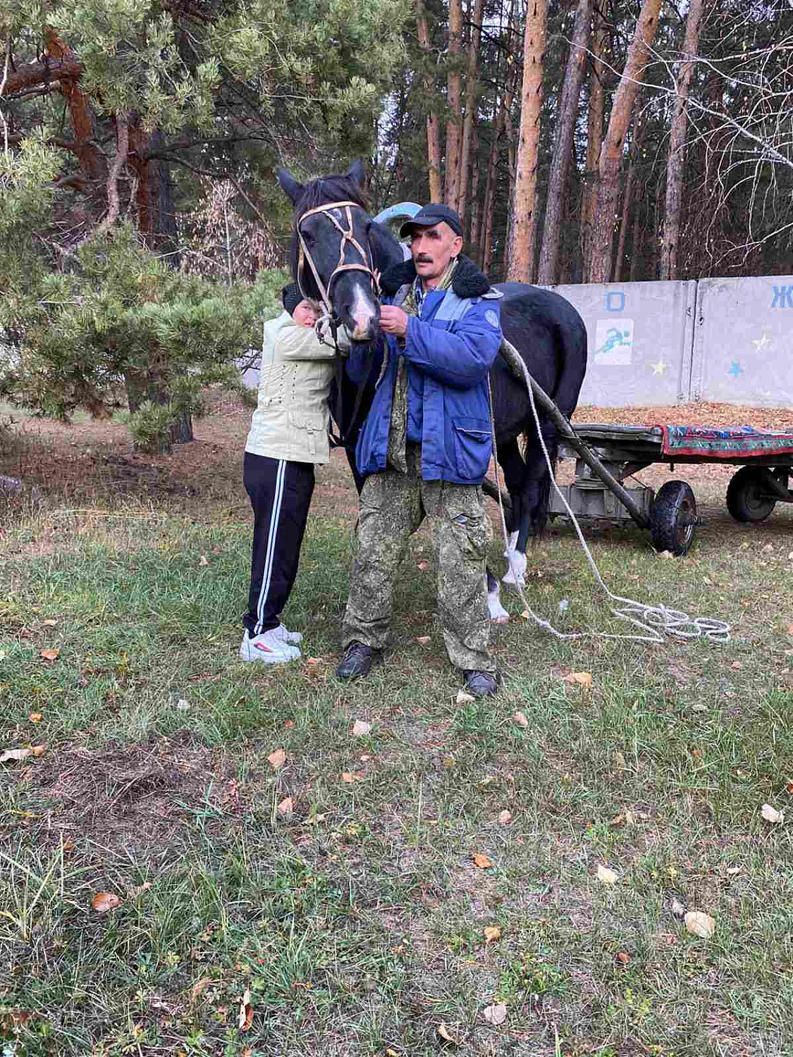 Очередное занятие по иппотерапии