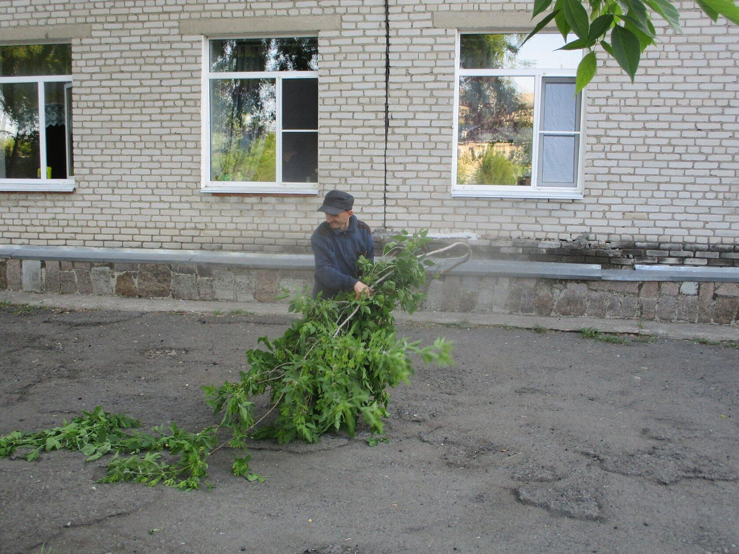 Трудотерапия